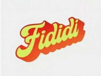 Flash ft DJ Spinal - Fididi