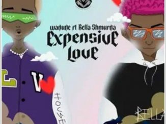 Wadude ft. Bella Shmurda - Expensive Love
