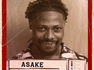 DOWNLOAD ALBUM: Asake - Mr Money With The Vibe