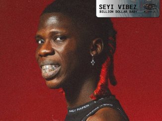 Seyi Vibez - Bullion Van