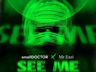 Small Doctor - See Me ft. Mr Eazi