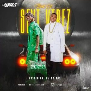DJ OP Dot - Best Of Seyi Vibez (2023 Mix)
