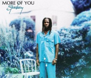 Stonebwoy - More Of You