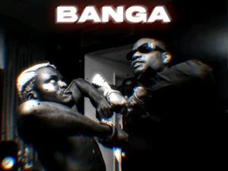 DJ Tunez ft. Portable - Banga
