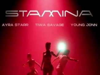 Tiwa Savage - Stamina ft. Ayra Star & Young John