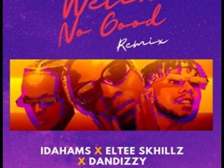 Idahams ft. Eltee Skhillz & DanDizzy - Wetin No Good (Remix)