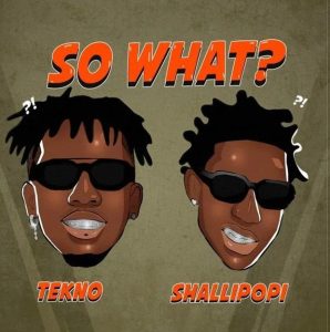 Tekno ft. Shallipopi - So What? 
