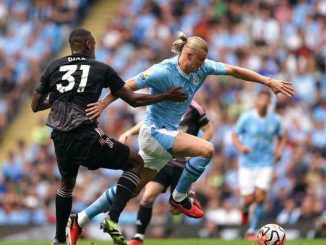 Manchester City vs Fulham 5-1 Highlights (Video)