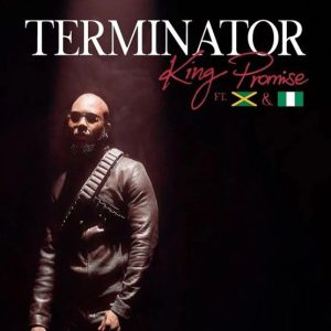King Promise - Terminator (Remix) ft. Sean Paul & Tiwa Savage 