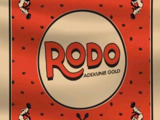 Adekunle Gold - Rodo