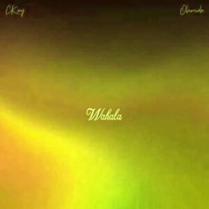 CKAY ft. Olamide -WAHALA